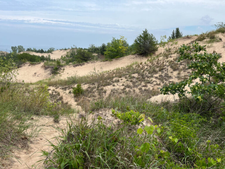 Indiana Dunes NP 1 1024x768 1 768x576