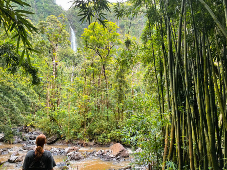 Pipiwai Trail Hike 11 1024x768 3 768x576