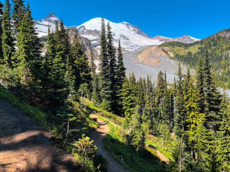 Rainier 32 1024x768 1 768x576
